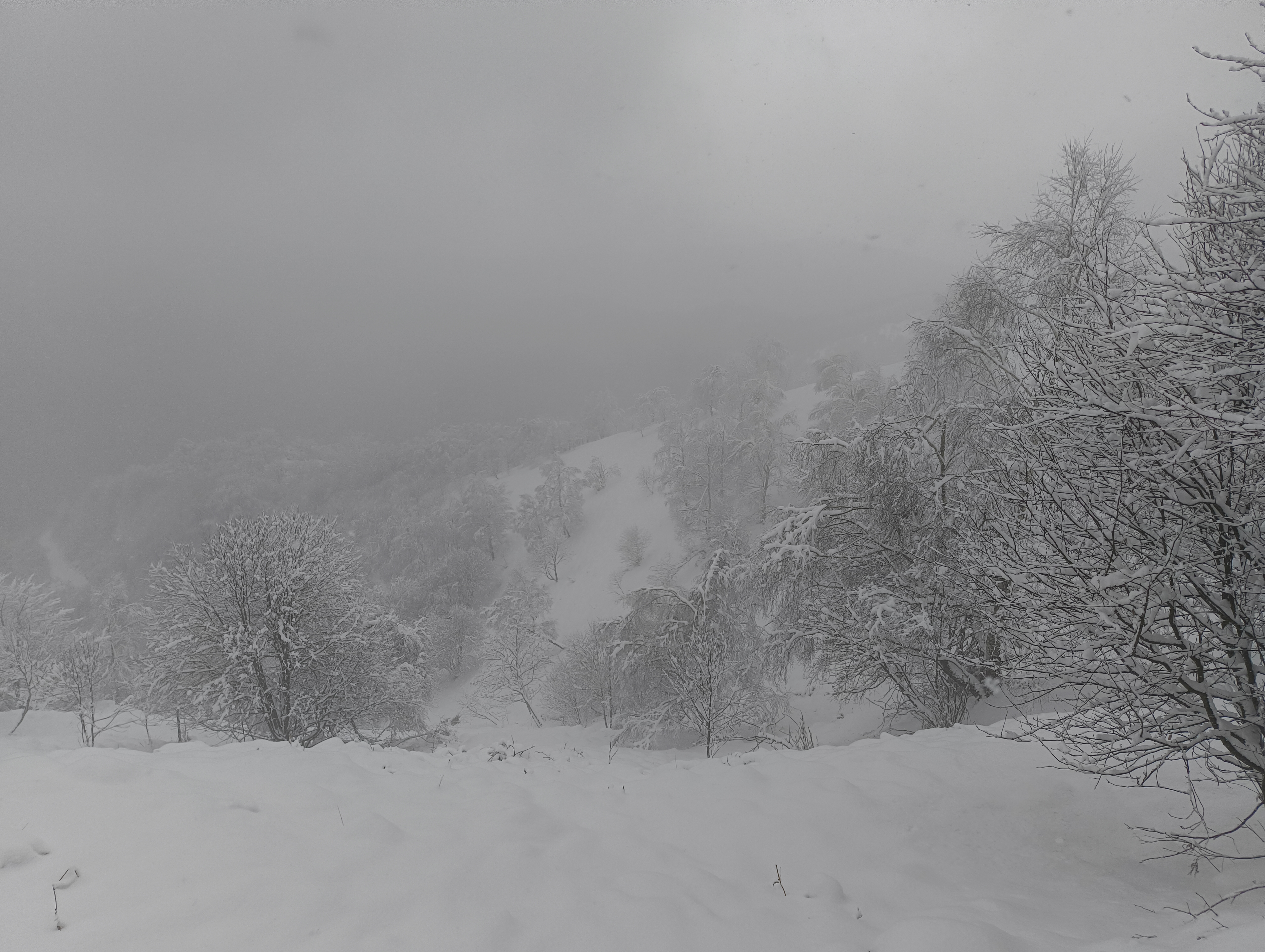 Foto n° 25 del trekking Bivacco del Gufo - Pizzo Pernice │ Alpe Curgei